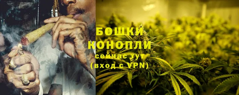 Бошки марихуана THC 21%  Приморско-Ахтарск 